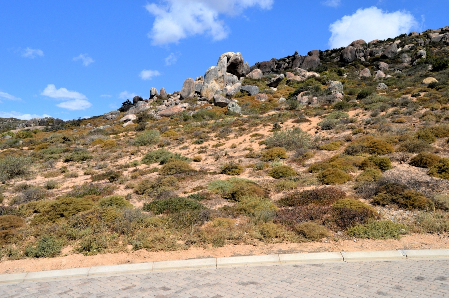 0 Bedroom Property for Sale in St Helena Views Western Cape